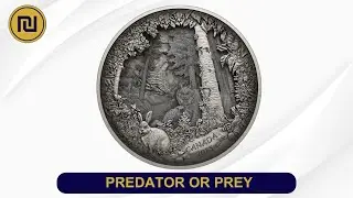Predator or Prey in Shadow Box &ndash; Fine Silver Coin