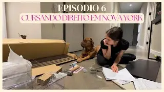 dia produtivo em nyc ~ aula de mandarim, arrumando apto, montando móvel novo, com meu dog (ep. 6)