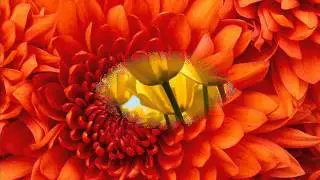 Bashir Aarif`s Naat ,Sung by Gulzar Ganai & chorus.wmv