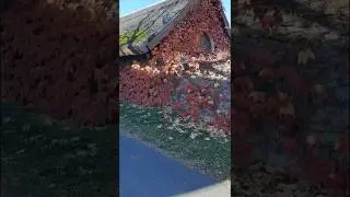 Vid&eacute;ki romantika - Salf&ouml;ld #countryside #romance #balatonuplands #fall #sunny #calm #silence #shorts