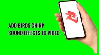 How to Add Birds Chirp Sound Effects to Video on Videoleap
