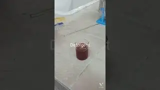 Turmeric as acid base indicator