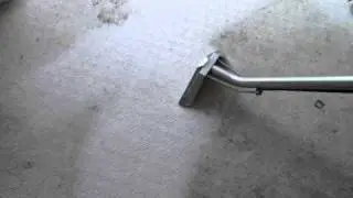 The incredible results of professional carpet cleaning by Cleanright