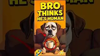 POV: Dogs Acting WAY Too Human 😂🐶 #dogloversdog #shorts#funnydogs