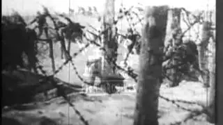 Smiling British Tommies.  Archive film 92636