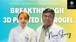 Ultra Fine 3D Bioprinting of Dynamic Hyaluronic Acid Hydrogel for in Vitro Modeling
