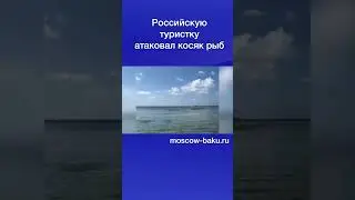 Российскую туристку атаковал косяк рыб