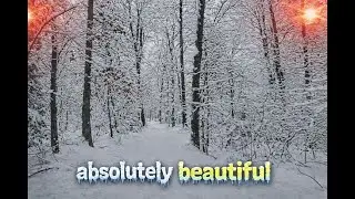 Peaceful Walk in the Serene Snow Covered Forest!!