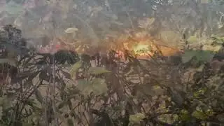 Deer hunting Oct 5th 