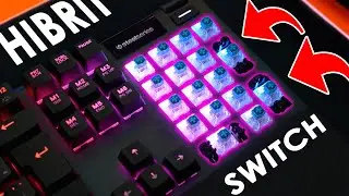 BLUE HİBRİT MEKANİK Switch de NEYMİŞ?? - YENİ SteelSeries APEX 5 İncelemesi