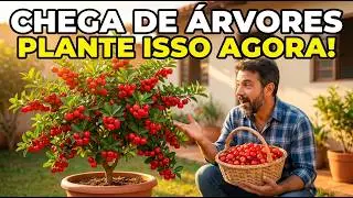 Plante Estas 8 &Aacute;rvores E Alimente Sua Fam&iacute;lia Para SEMPRE