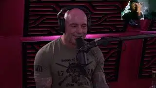 Joe Rogan Talks about how terrifying Chimp Attacks are !!!