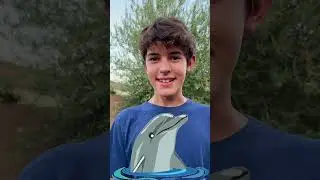 dolphin noise 🐬 #funny #kidslearning