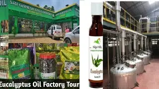 EUCALYPTUS OIL FACTORY IN OOTY 