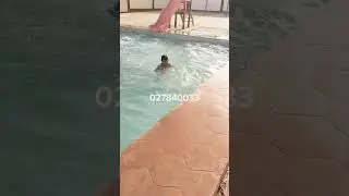 جولة حمام معدني بن عزوز بلشارف   جميع الاسعار ورقم الهاتف