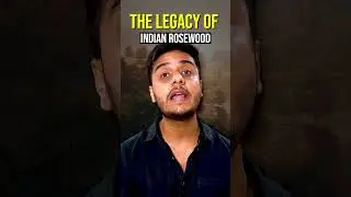 India's Most Precious Tree !
