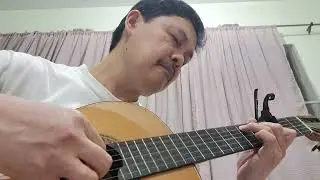 YOUR LATEST TRICK by Dire Straits -- Solo Classical Guitar 