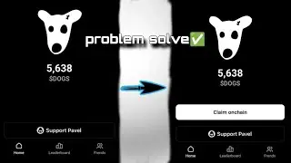 dogs Claim Option Problem. ✅✅