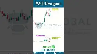 MACD Divergence | MACD divergence explained | Technical analysis for beginners