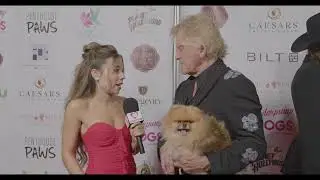 Ken Todd talks marriage, dogs, and Vanderpump Dogs