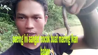 mancing di spot air keruh pakai umpan cacing