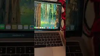 Apple macbook Pro track pad problem solving touch pad setting #mactips #applemac #macsupport