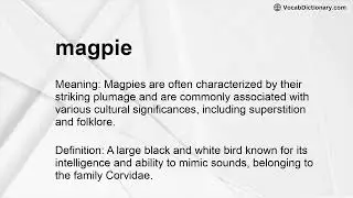 magpie Meaning