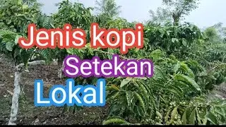 29 Januari 2026