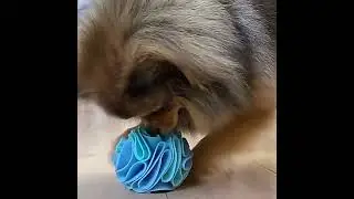 Dog Sniffing Mat Toys for Dog Snuffle Ball Training Food Slow Feeding Pad Collapsible Pet Nose Blank