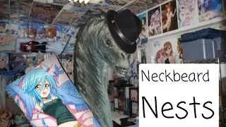 Worst Neckbeards nests