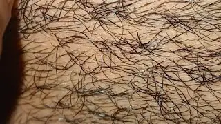 Satisfying Beard Touch 😌✨#hairvideo #hairmaster #hairmassage 