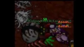 Tibia Mount Widow Queen.wmv