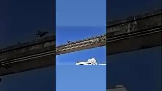 鳩せんぱいと猫いもむし（Pigeon Senpai and Cat Caterpillar）