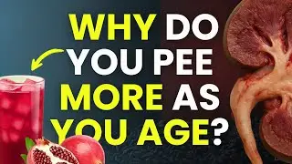 The age-related changes behind nocturia after 50 &mdash; and how to fight back