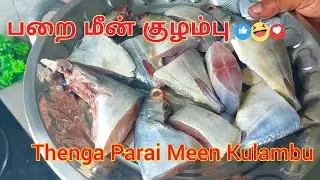  பாறை மீன் குழம்பு | Thenga Parai Meen Kulambu | Authentic Fish Gravy | #kettikaran #food #fish