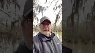 Какова на самом деле морозная погода в кемпинге для автодомов на болоте?