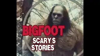 Terrifying BIGFOOT Stories That Will Give You Chills