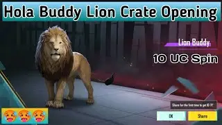 10 uc Luck Hola Buddy Lion Companion 🥵🥵