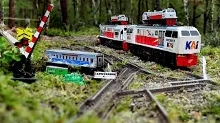 Menemukan Kereta Api Indonesia, KRL Commuterline, Lokomotif cc300, Palang Pintu Perlintasan KAI #01