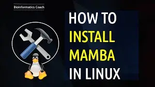 Установка, настройка и запуск Mamba и Conda на любой машине Linux