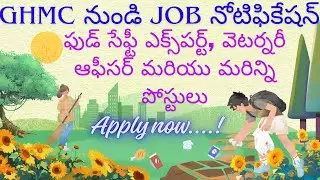 GHMC నుండి JOB నోటిఫికేషన్ 2025, INTERVIEW ONLY, ఫుడ్ సేఫ్టీ ఎక్స్&zwnj;పర్ట్, వెటర్నరీ ఆఫీసర్ Other jobs