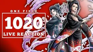 Robin Is Back |One Piece 1020 Live Reaction & Discussion| ワンピース