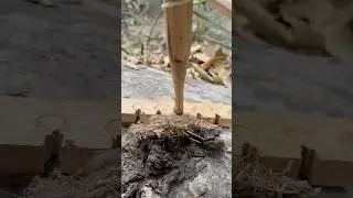 Traditional survival skills: Bow drill fire making demonstration #outdoors #survival #craft