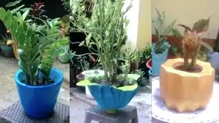 3 Way ideas cement craft - How to creation cement pot at home #cementpot #cementcraft #diycement