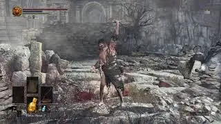 Dark Souls 3 Bow Build Arch Wyvern