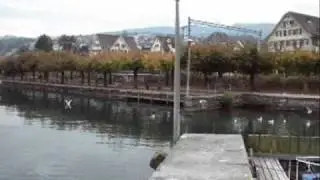 Seeufer Richterswil