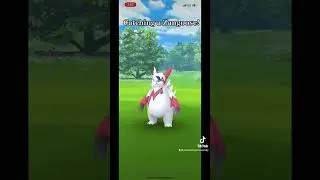 Catching a Zangoose!