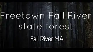Paranormal investigation: Freetown Fall River state forest [12/13/25]