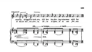 Puccini: Turandot 