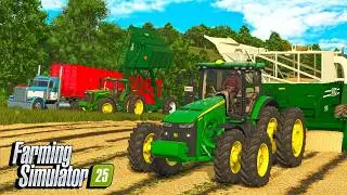 Я собираю первый урожай арахиса в этом году? | Farming Simulator 25